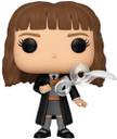 Harry Potter Pop Figure