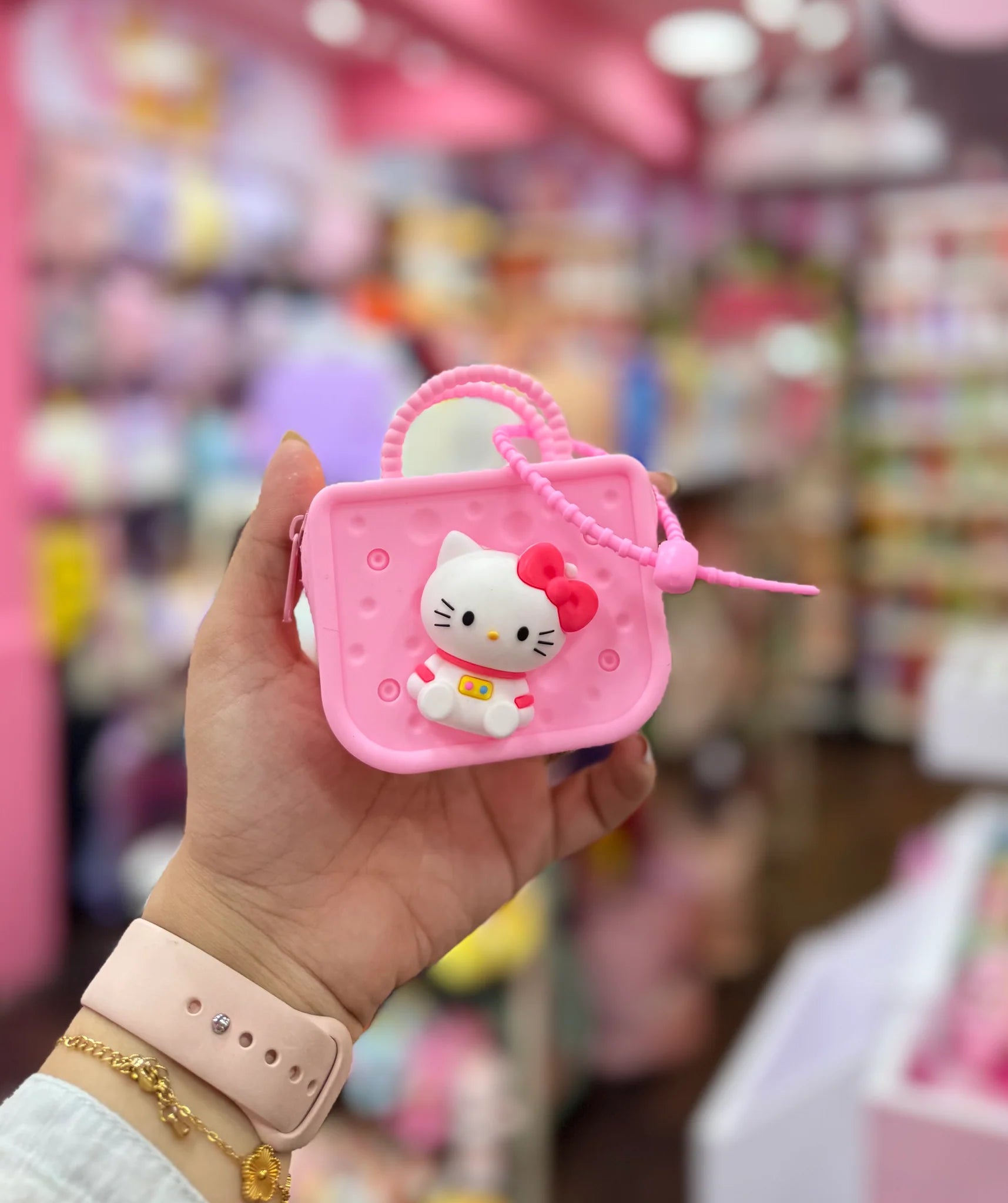 Sanrio Croc Coin Pouch