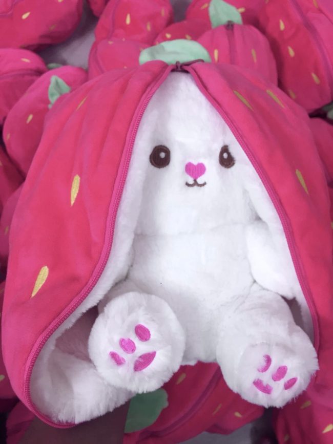 Fruit Teddy