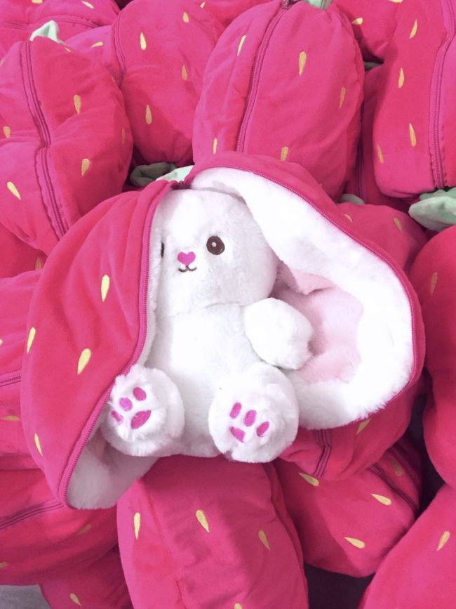 Fruit Teddy