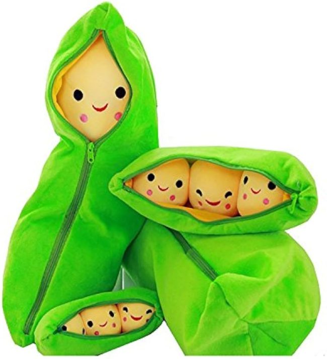 Pea family 55cm